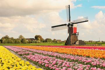 Bí quyết xin cấp visa đi Hà Lan thành công 100%
