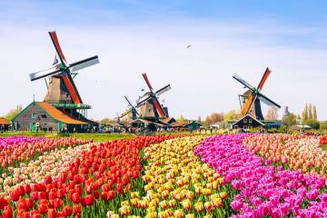 Kinh nghiệm du lịch Hà Lan chi tiết nhất